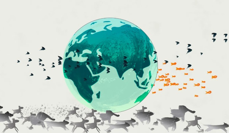 «Extinction Emergency and Why We Must Act Now»: Η απειλή της κλιματικής αλλαγής στο μικροσκόπιο