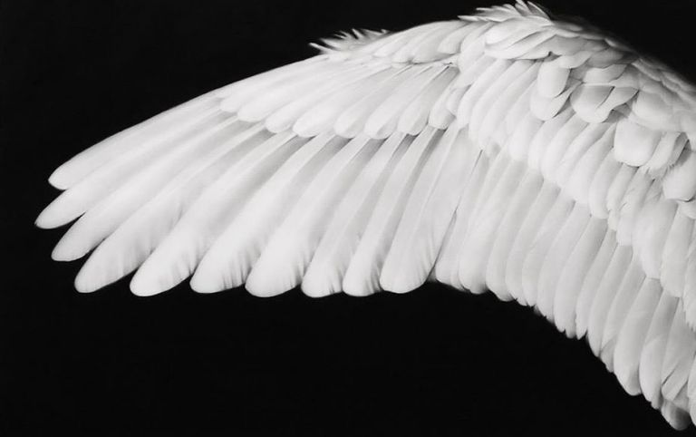 Κοροναϊός: Καλλιτεχνική έκθεση για τη διάσωση πολιτιστικού κέντρου