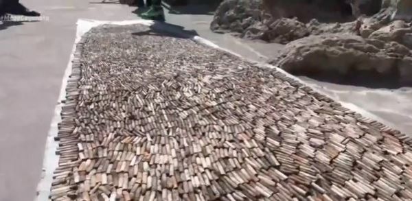 Εκστρατεία για τη ρύπανση από τα αποτσίγαρα