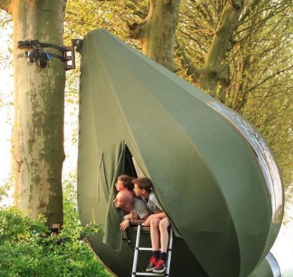 Κάντε κάμπνιγκ πάνω… στα δέντρα