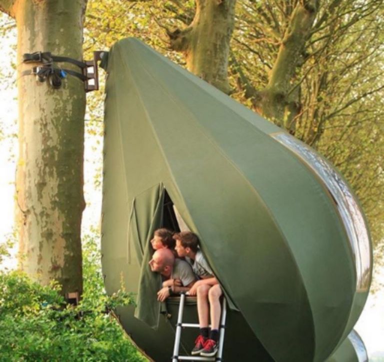 Κάντε κάμπνιγκ πάνω… στα δέντρα