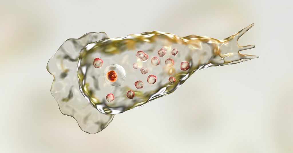 Τι άλλο θα συμβεί το 2020; Συναγερμός μετά τον θάνατο 6χρονου από αμοιβάδα που… τρώει τον εγκέφαλο