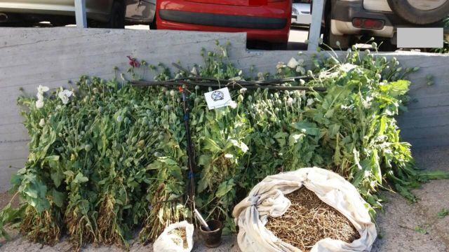 Έκρυβαν κάνναβη σε μπισκότα και τσιπς – Δύο συλλήψεις στον Μαραθώνα