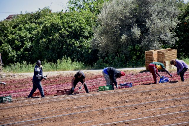 Λακωνία: Δεκάδες κρούσματα κοροναϊού σε εργάτες γης – Τι προβληματίζει τις Αρχές