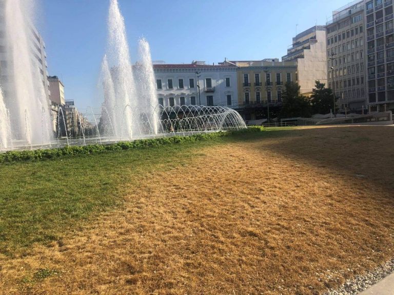 Πλατεία Ομονοίας : Η επίθεση από… κάμπιες κατέστρεψε το γκαζόν