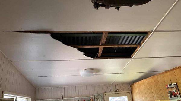 Απίστευτο : Δυο… φίδια έπεσαν από το ταβάνι ενώ ετοίμαζε το τσάι του