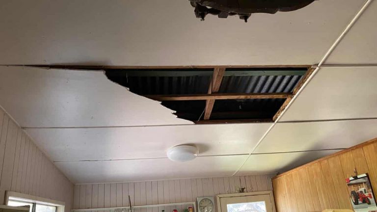 Απίστευτο : Δυο… φίδια έπεσαν από το ταβάνι ενώ ετοίμαζε το τσάι του