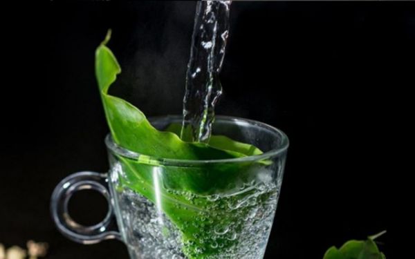 Τα μυστικά οφέλη του ζεστού νερού