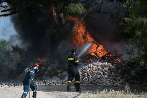Φωτιά τώρα στη Λακωνία: Καίγεται δάσος στο Οίτυλο – Στη μάχη και εναέρια μέσα