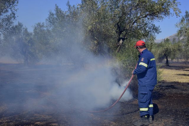 Συναγερμός στην Πυροσβεστική: Πυρκαγιά σε Φθιώτιδα και Ηλεία