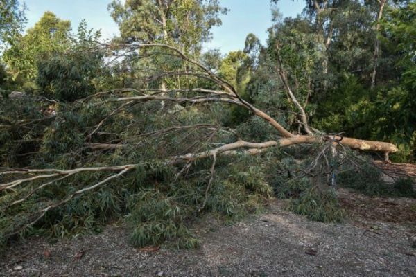 Μεγάλες ζημιές από την ξαφνική κακοκαιρία στην Ηλεία