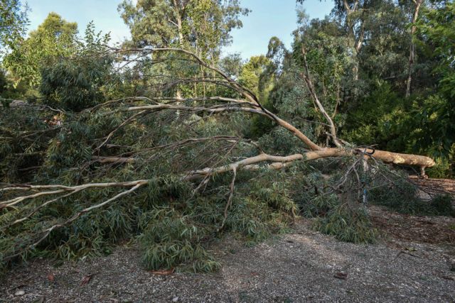 Μεγάλες ζημιές από την ξαφνική κακοκαιρία στην Ηλεία