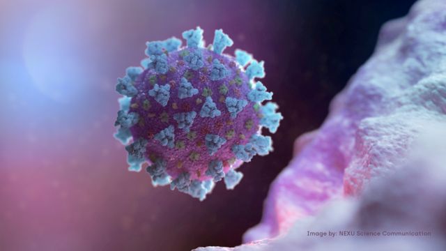 Κοροναϊός: «Πειραματικό» κοκτέιλ βελτιώνει τα συμπτώματα του ιού