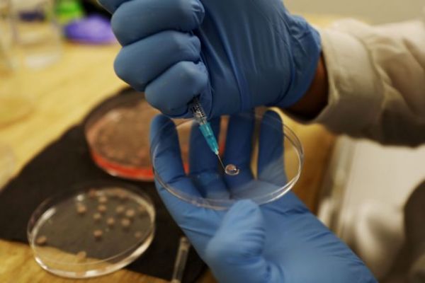 «Ένας στους πέντε φορείς του κοροναϊού είναι ασυμπτωματικός»: Τι λέει ελβετική μελέτη