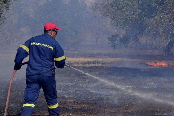Συναγερμός στην Πυροσβεστική: Φωτιά στον Νέο Βουτζά