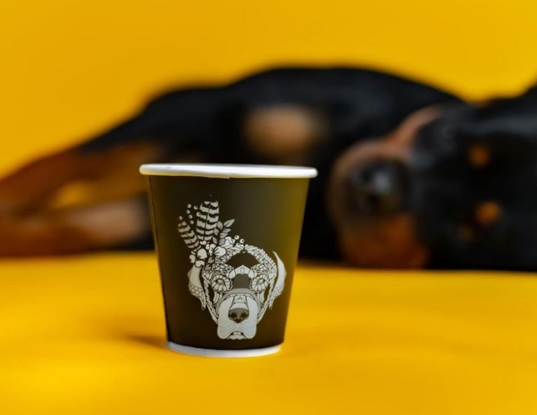 The Barking Lot: Το πρώτο καφέ στη Σαουδική Αραβία για σκύλους