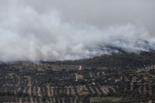 Φωτιά στην Κερατέα : Μέχρι την Κρήτη έφτασε ο καπνός λόγω των ισχυρών ανέμων