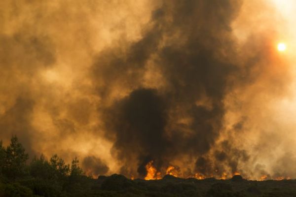 Φωτιές σε Μάνη και Κύθηρα: Βαριές καταγγελίες για τη διαχείριση από την Πυροσβεστική