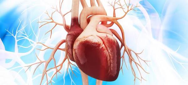 ΑΠΘ : Ψηφιακές εφαρμογές και τεχνητή νοημοσύνη στην υπηρεσία της πρόβλεψης και διαχείρισης καρδιακών παθήσεων