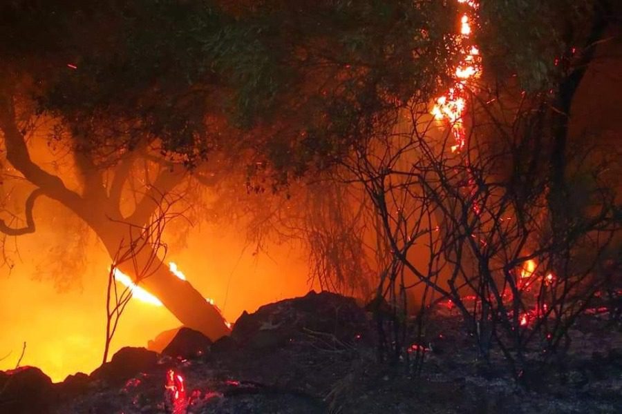 Νύχτα κόλασης στη Λέσβο : Πυρκαγιές σε δασική έκταση και στο ΚΥΤ της Μόριας