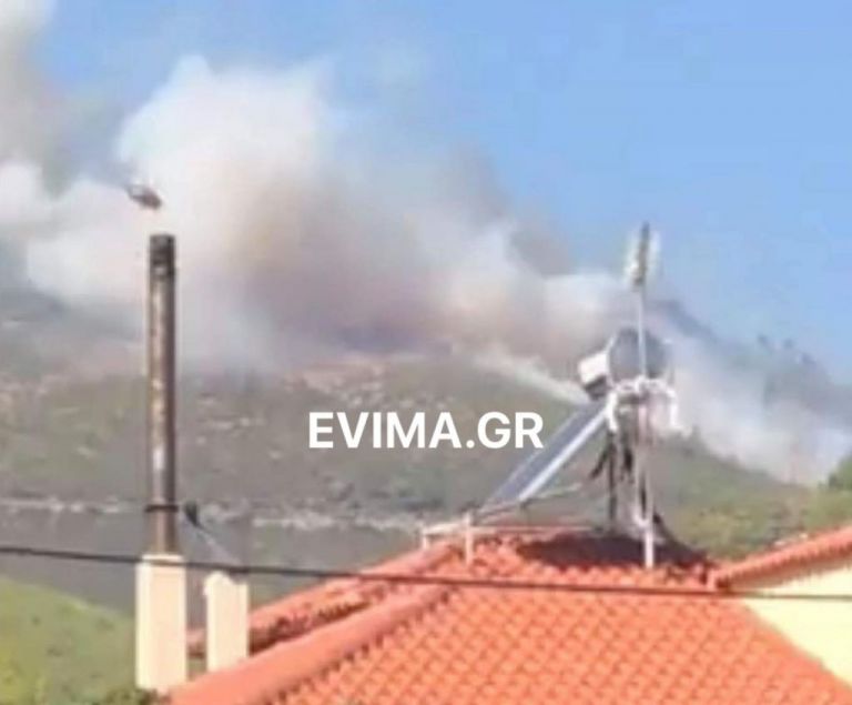 Μεγάλη φωτιά στη Νέα Μάκρη: Ισχυροί άνεμοι στην περιοχή