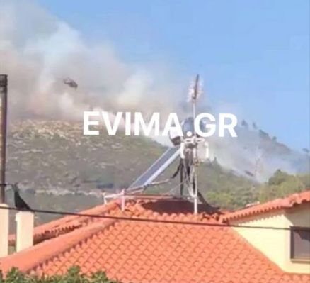 Νέα Μάκρη: Οι άνεμοι δυσχεραίνουν το έργο της πυροσβεστικής – Παραμένει ενεργό το μέτωπο