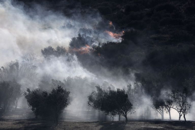 Φωτιά στην Ανάβυσσο : Το πύρινο μέτωπο «άδειασε» οικισμούς – Ειδική μέριμνα για τους κατοίκους