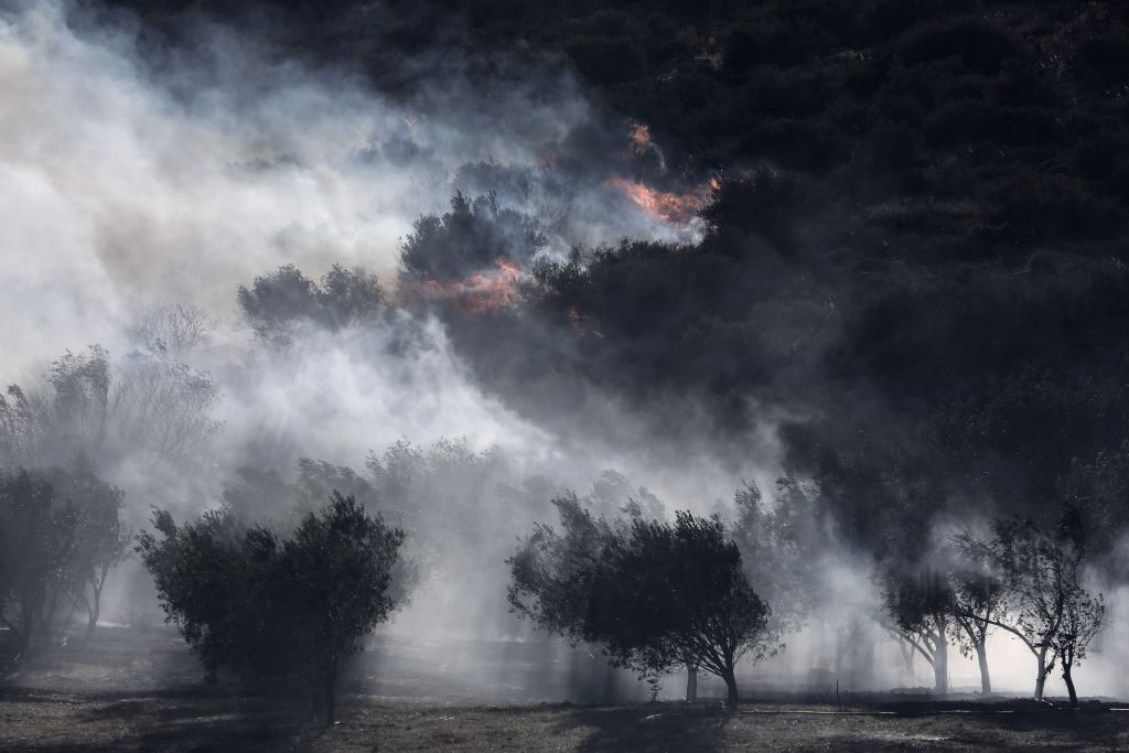 Φωτιά στην Ανάβυσσο : Το πύρινο μέτωπο «άδειασε» οικισμούς – Ειδική μέριμνα για τους κατοίκους