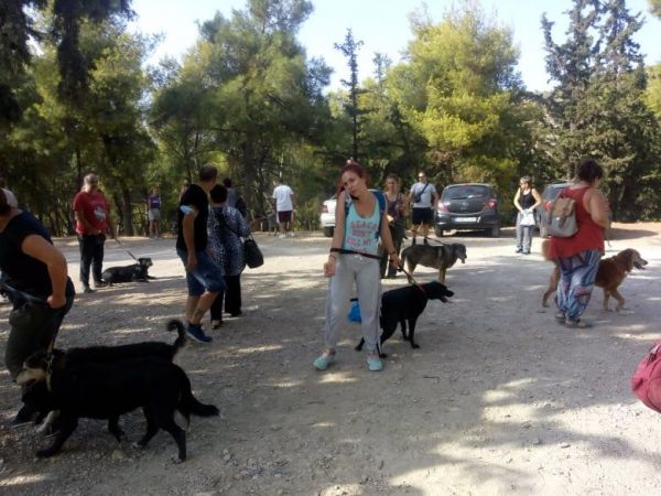 Φωτιά στον Βύρωνα: Απειλήθηκε το καταφύγιο αδέσποτων ζώων – Συγκινητική η ανταπόκριση του κόσμου