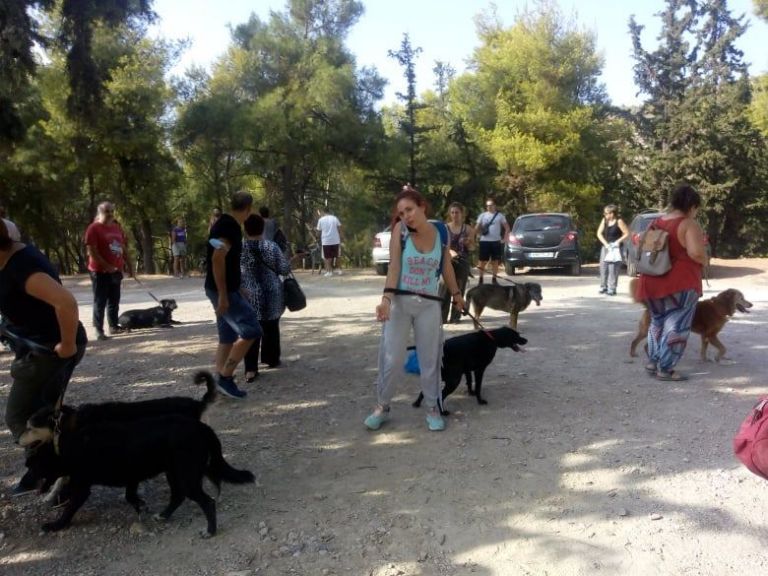 Φωτιά στον Βύρωνα: Απειλήθηκε το καταφύγιο αδέσποτων ζώων – Συγκινητική η ανταπόκριση του κόσμου