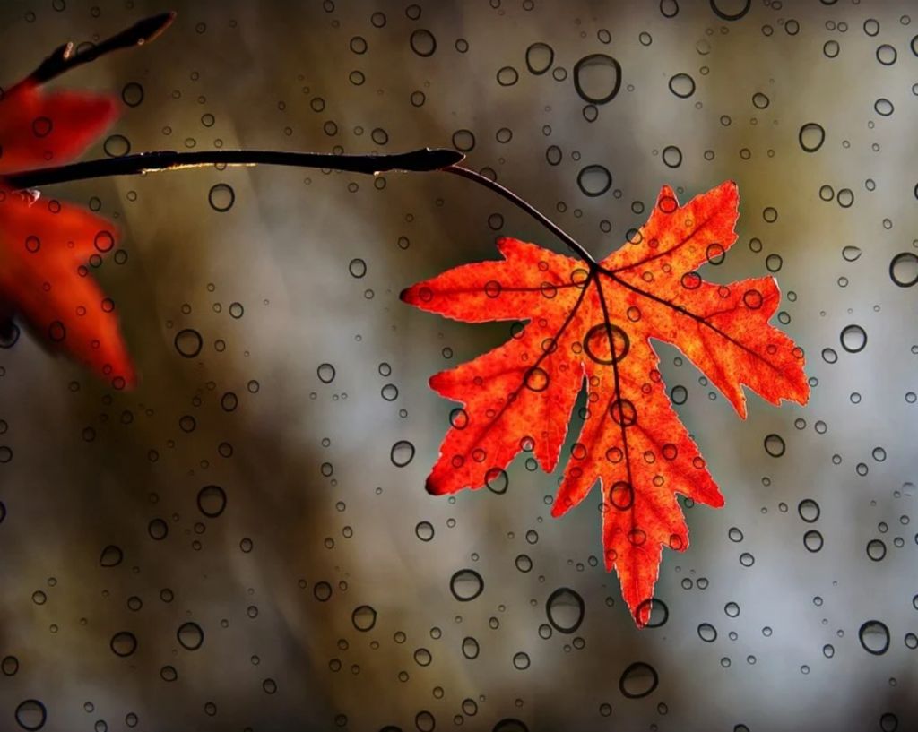 Αστρολογικές προβλέψεις για την Τρίτη 8 Σεπτεμβρίου