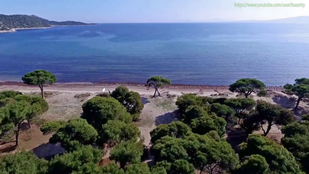 Απαγόρευση κυκλοφορίας στους δρυμούς Σχινιά, Υμηττού και Μαραθώνα την Πέμπτη λόγω κινδύνου πυρκαγιάς