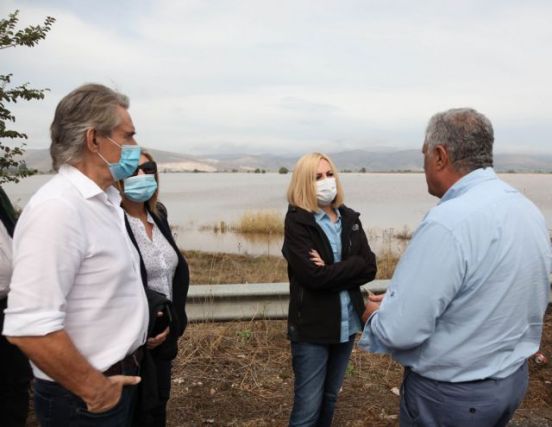 Γεννηματά από Καρδίτσα : Χρειάζεται ολοκληρωμένο σχέδιο για τις πληγείσες περιοχές