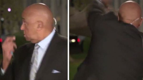 Ρακούν επιτίθεται σε δημοσιογράφο έξω από τον Λευκό Οίκο