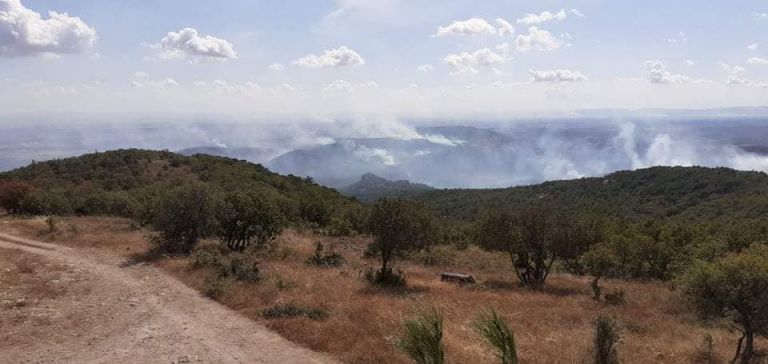 Φωτιά στον Έβρο: Δίχως τέλος η μάχη με τις φλόγες – Επιτόπου ο Αρχηγός της Πυροσβεστικής