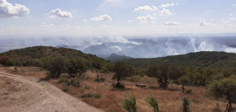 Φωτιά στον Έβρο: Δίχως τέλος η μάχη με τις φλόγες – Επιτόπου ο Αρχηγός της Πυροσβεστικής
