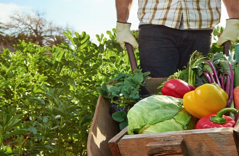 Είστε για ένα L.A.T.T.E;