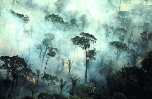 Αγωνία για τον Αμαζόνιο: Κινδυνεύει να μετατραπεί σε λιβάδι