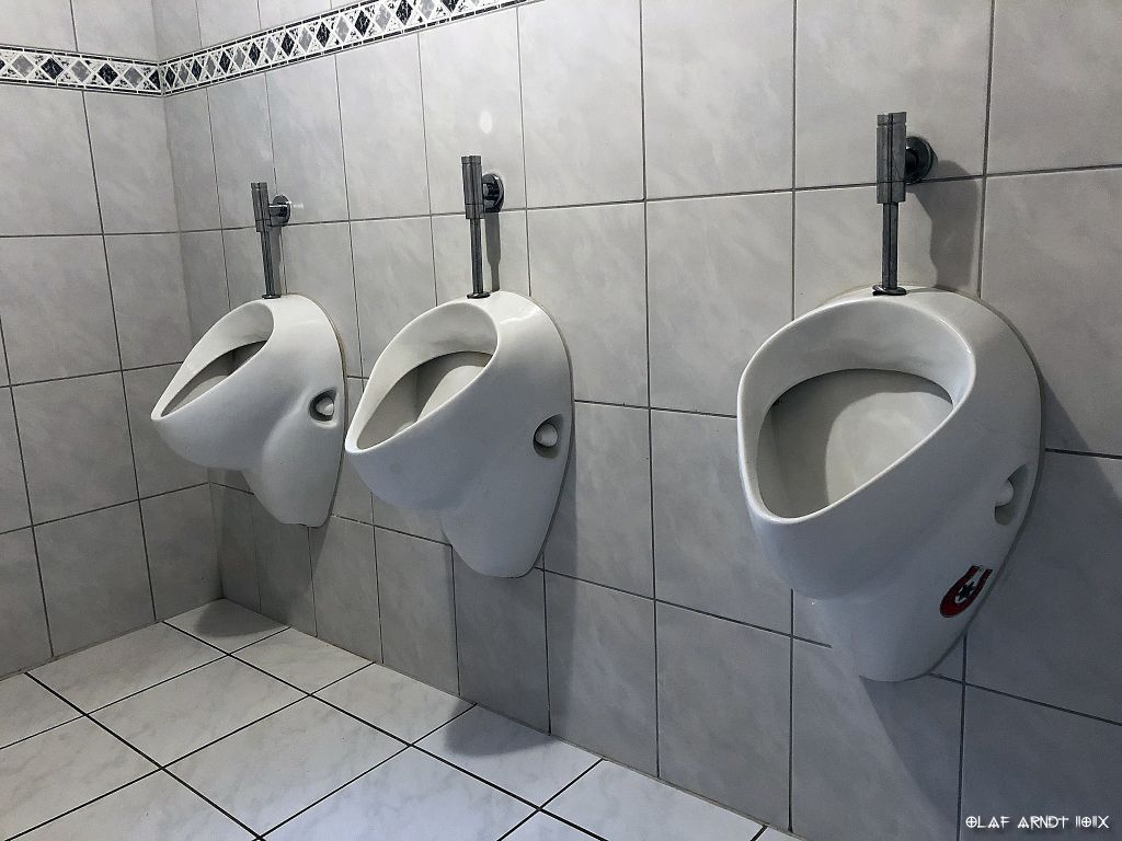 Το γονίδιο που μας ενημερώνει πότε να ουρήσουμε