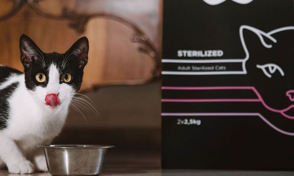 Μία super premium ποιότητα τροφής για κατοικίδια με συνδρομή και ελληνική υπογραφή