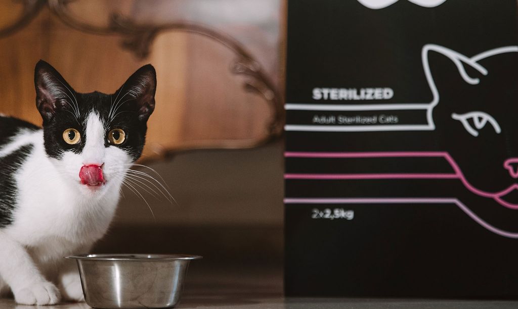 Μία super premium ποιότητα τροφής για κατοικίδια με συνδρομή και ελληνική υπογραφή