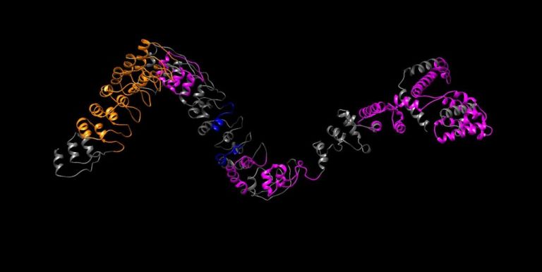 Μετά το ανθρώπινο γονιδίωμα, το πρωτεΐνωμα
