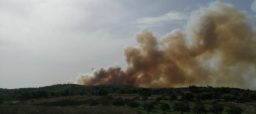 Ζάκυνθος : Μεγάλη φωτιά σε δασική έκταση στις Βολίμες - Εξετάζεται εκκένωση οικισμού