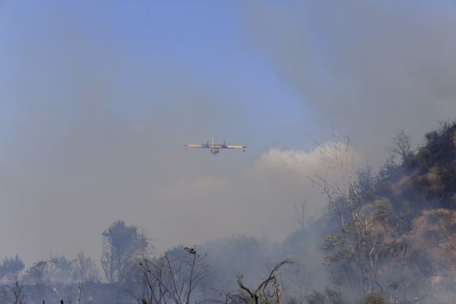 Συναγερμός στην Πυροσβεστική : Φωτιά στα Βαρδούσια