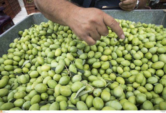 Επίδομα ορεινών περιοχών: Συνεχίζονται οι αιτήσεις – Ολη η διαδικασία