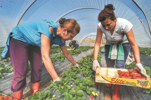 Περιφέρεια Δυτικής Μακεδονίας : Αίτημα για την αύξηση του προϋπολογισμού του Μέτρου 16