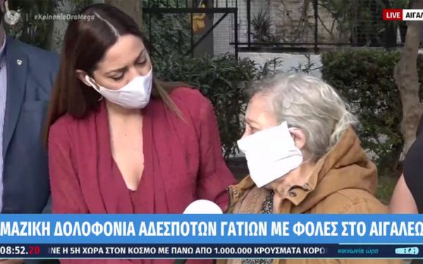 Αιγάλεω : Δηλητηρίασαν 11 γάτες – Συγκινεί η ηλικιωμένη που τις φρόντιζε