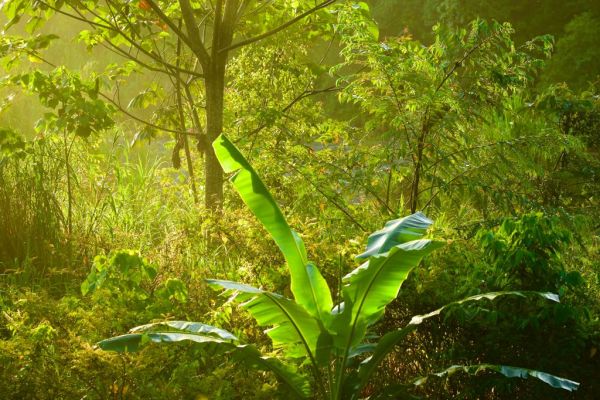 Η επόμενη πανδημία: Από πού θα προέλθει και πώς θα την σταματήσουμε