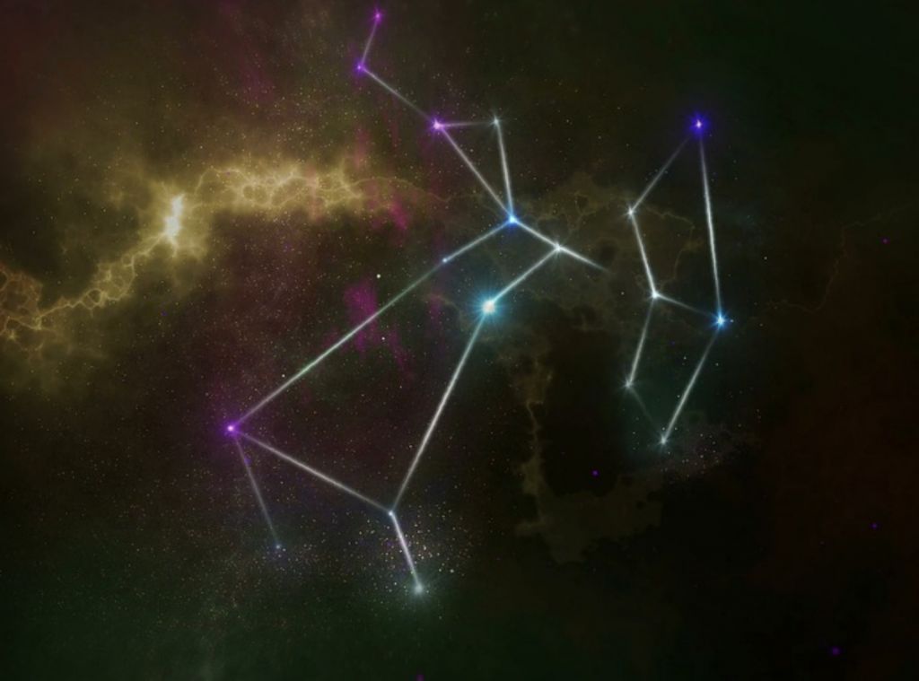 Έτσι συμπεριφέρονται τα ζώδια σε καθημερινή βάση