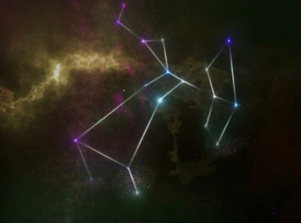 Έτσι συμπεριφέρονται τα ζώδια σε καθημερινή βάση